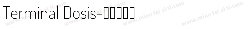 Terminal Dosis字体转换